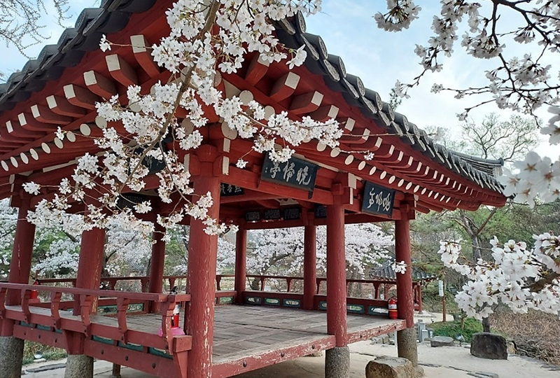봄(만귀정)